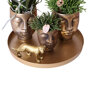 Witte orchidee en Rhipsalis op gouden schaal